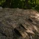 Маскирующая сетка Militex Дубовые листья 5х10м (площадь 50 кв.м.) 20510-ДЛ фото 7