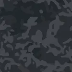 Плитоноска Kiborg GU gen.2 + 2 подсумка с баллистической защитой 1 класса черный мультикам