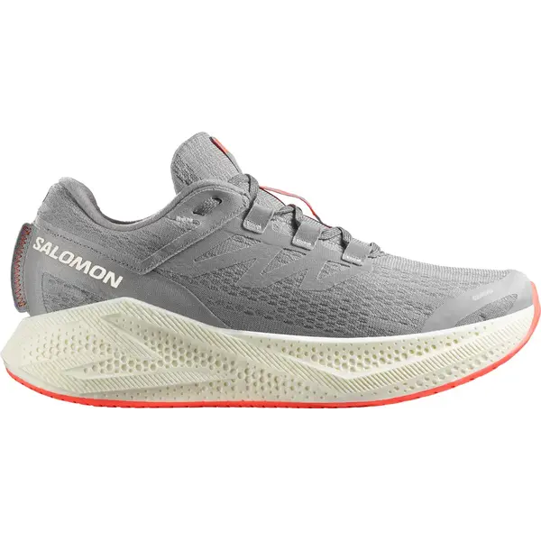 Кросівки Salomon outdoor AERO GLIDE 3 Alloy/Vanilla Ice/Neon Flame