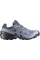 Кросівки Salomon SPEEDCROSS 6 GTX Spellbound/Black чоловічі трейлові з мембраною Gore-Tex