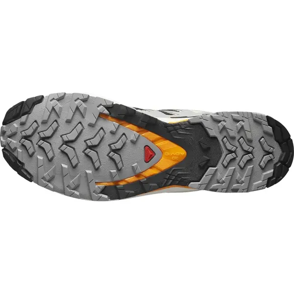  Чоловічі трейлові кросівки Salomon XA PRO 3D V9 Black / Gull / Turmeric
