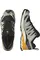 Чоловічі трейлові кросівки Salomon XA PRO 3D V9 Black / Gull / Turmeric