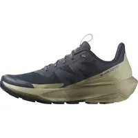 Мужские кроссовки Salomon ELIXIR ACTIV для города и повседневного использования Carbon / Slate Green