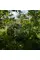 Антидронова маскувальна сітка Militex з основою Камуфляж 2х5м (площа 10 кв.м.)