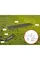 Кровать складная Naturehike XJC05 NH20JJ001, Полиэстер Oxford / алюминий, зеленый