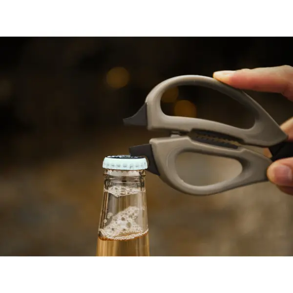 Набір для барбекю NexTool Barbecue Tool Set в кейсі