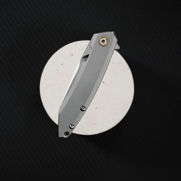 Ніж складаний Ruike P831S-SA