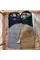 Спальник з капюшоном Naturehike Sunny Day PL02 U250 CNK2550WS028, (8,5°C), правий, коричнево-зелений