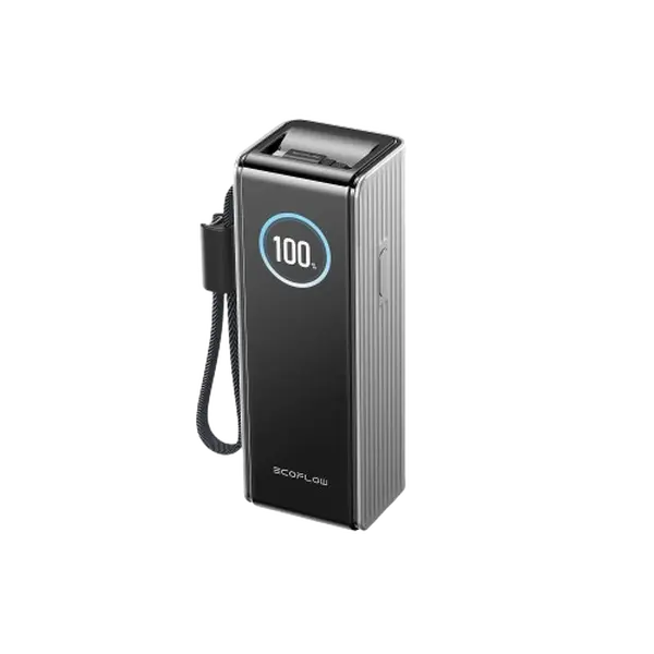 Павербанк EcoFlow RAPID Power Bank з кабелями 25000mAh сріблястий