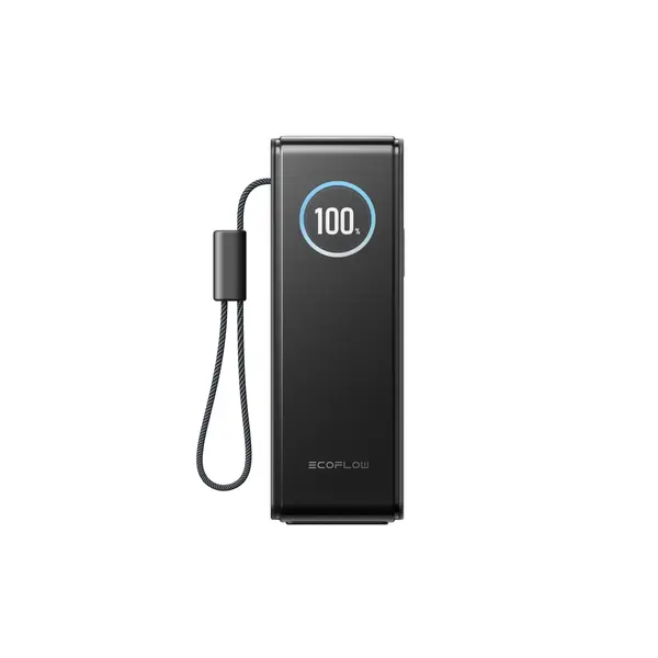 Павербанк EcoFlow RAPID Power Bank з кабелями 25000mAh сріблястий