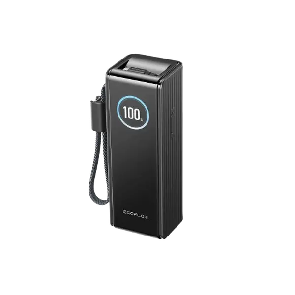 Павербанк EcoFlow RAPID Power Bank з кабелями 25000mAh чорний