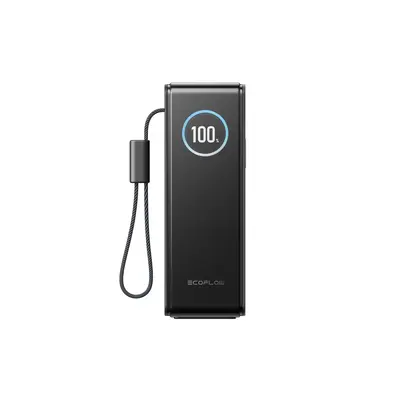Повербанк EcoFlow RAPID Power Bank с кабелями 25000mAh черный