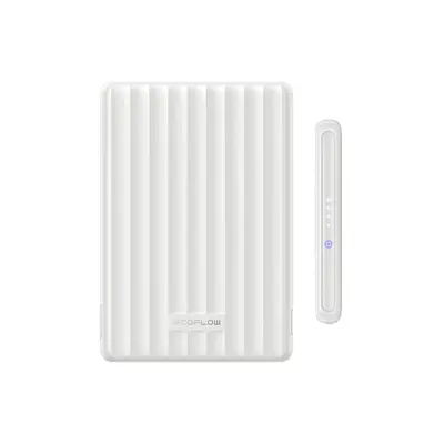 Повербанк EcoFlow RAPID Mag Power Bank 5000mAh белый