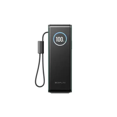 Повербанк EcoFlow RAPID Power Bank с кабелями 25000mAh зеленый
