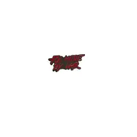 Пін тактичний «FLY MODE BY WAR» red