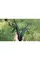 Мультитул Multi Tool Ganzo G109