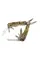 Мультитул Multi Tool Ganzo G2016-P