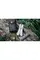 Мультитул Multi Tool Ganzo G301