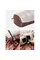 Спальник з натуральним пухом Naturehike Snowbird NH20YD001, p-р L, коричневий 720 г