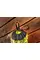 Тент Escapist 15D Tarp, 200 x 260 см, Lime от Sea to Summit (STS AESCTARPM)
