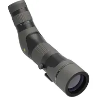 Труба підзорна Leupold SX-2 Alpine HD 20-60x60mm кутова