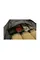 Рюкзак UTactic Carbine Bag для перенесення зброї (олива)
