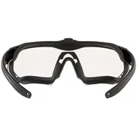 Окуляри балістичні ESS Crossbow Black/Clear