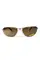 Захисні окуляри з поляризацією Black Rhino i-Beamz Polarized (brown), коричневі, Сірий