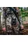 Бінокль Vanguard Endeavor ED IV 8x42 WP (Endeavor ED IV 8420)