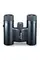 Бінокль Vanguard Vesta Compact 8x21 WP Black Pearl (Vesta 8210 BP)