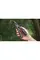 Мультитул Multi Tool Ganzo G202B