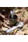 Столовий прилад NexTool Outdoor Spoon Fork NE0124