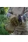 Рукавиці тактичні Mechanix MX-61 Койот XXL