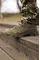 Кросівки тактичні Крейзі Олива